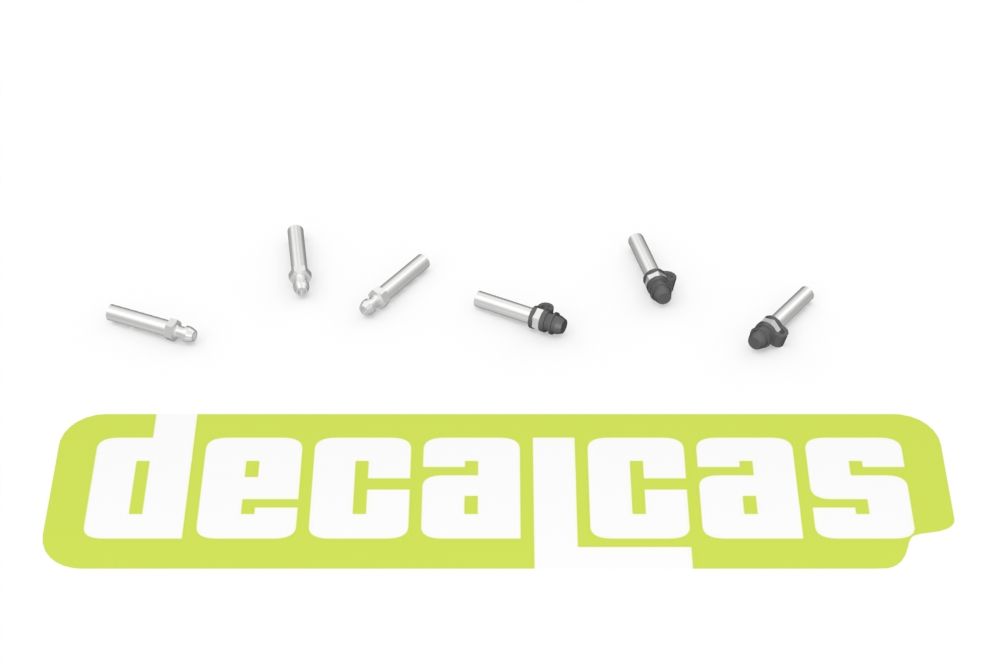 Decalcas PAR106 Detail for 1/20 scale models: Caliper bleed nipples - Type 01 (20+20 units/each)