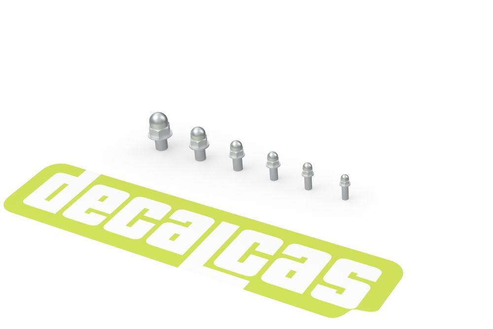 Decalcas PAR130 Nuts for 1/24,1/20,1/12 scale models: Hexagon domed cap nut with washer (100+100+100+100+100+100 units/each)